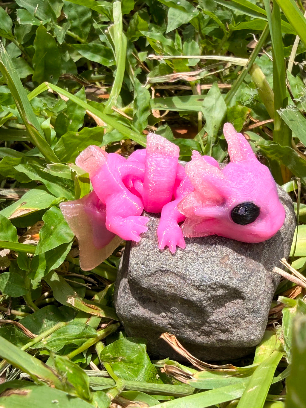 Articulated Axolotl Hatchling
