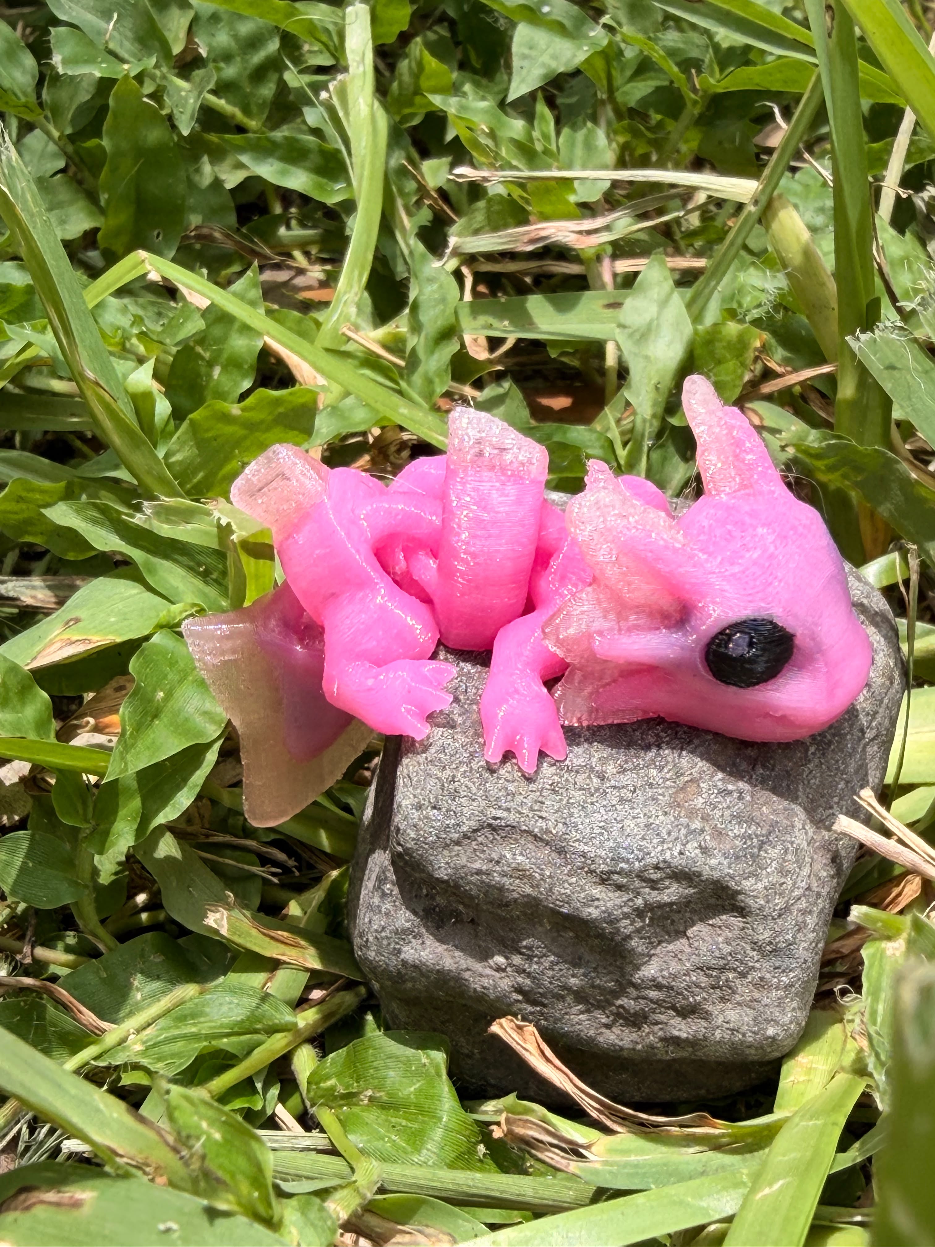 Articulated Axolotl Hatchling