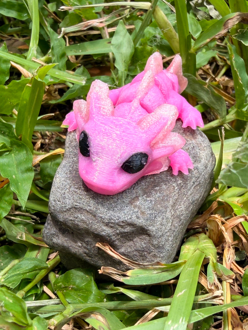 Articulated Axolotl Hatchling