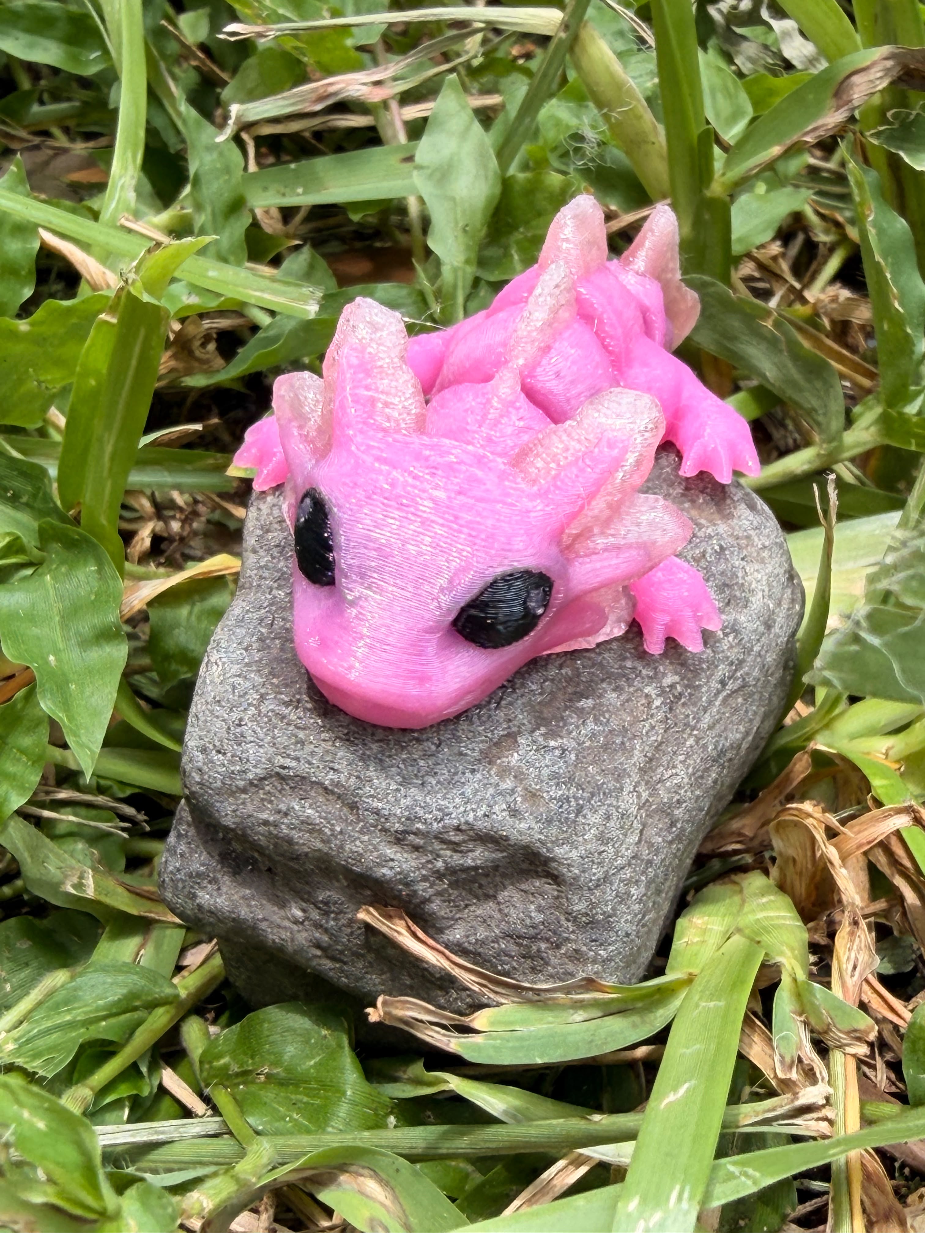 Articulated Axolotl Hatchling