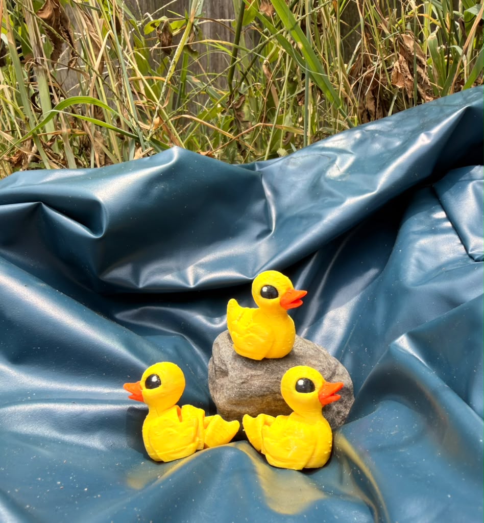 Articulated Duck Hatchlings