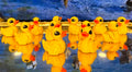 Articulated Duck Hatchlings