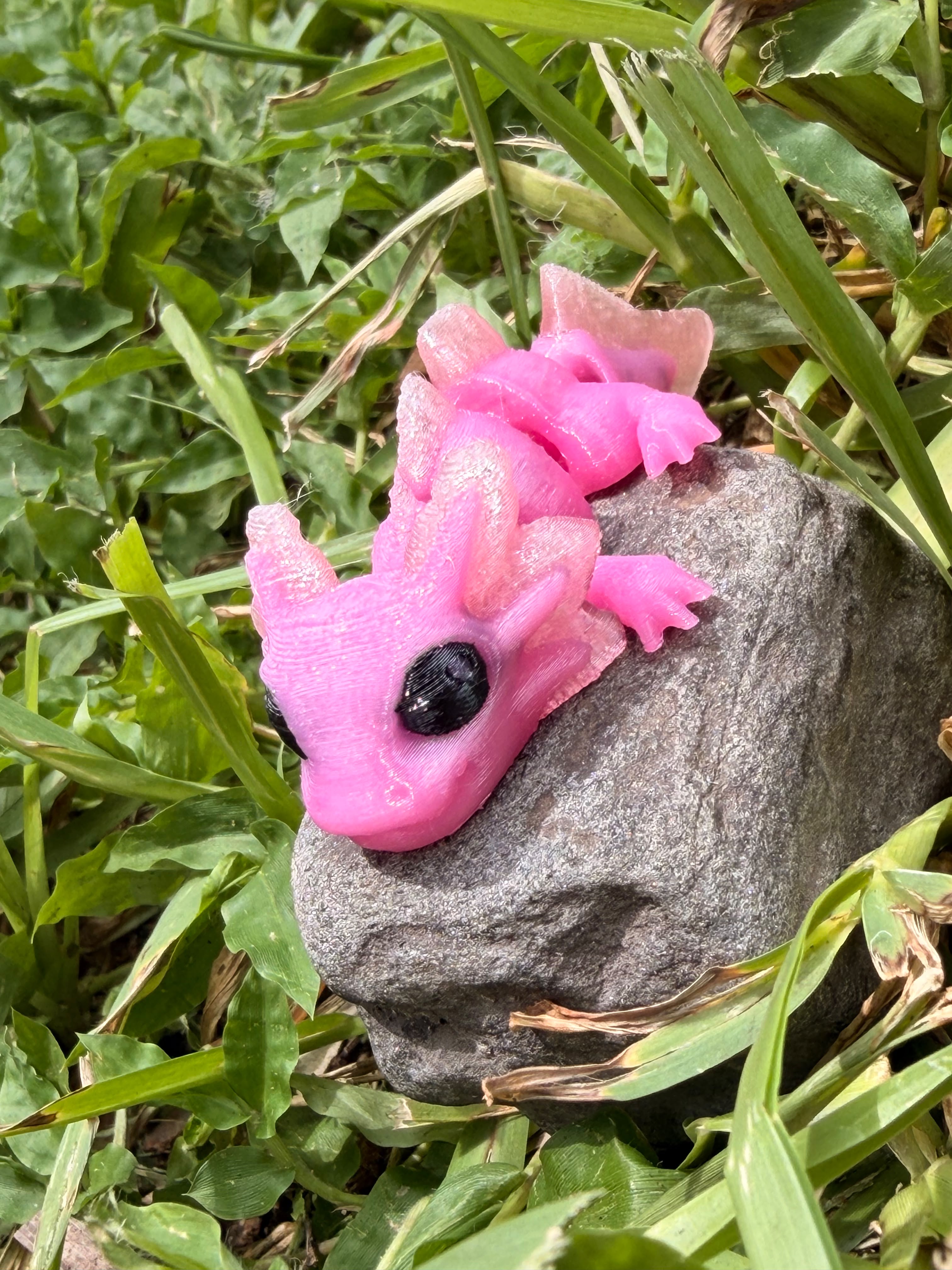 Articulated Axolotl Hatchling