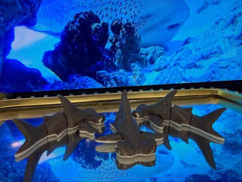 Articulated Hammerhead Shark